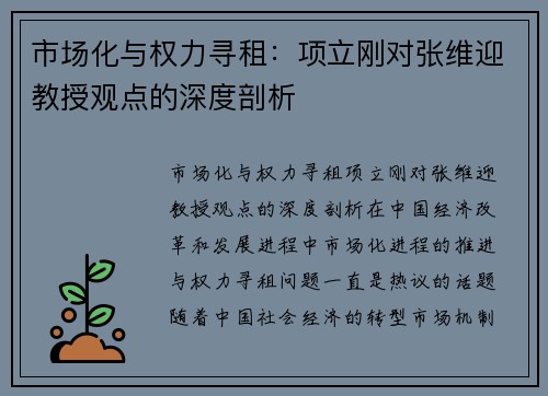 市场化与权力寻租：项立刚对张维迎教授观点的深度剖析