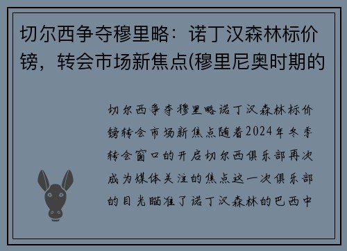 切尔西争夺穆里略：诺丁汉森林标价镑，转会市场新焦点(穆里尼奥时期的切尔西阵容)